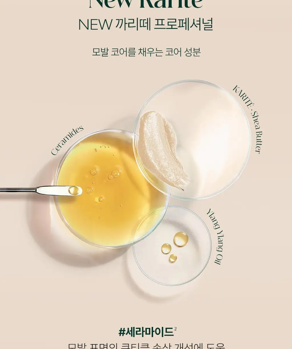 [NEW][손상 모발 케어] 르네휘테르 까리떼 프로페셔널 마스크 250ml 상세페이지 6